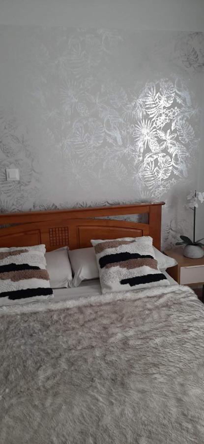 Apartamento Kaz Papaye Saint Pierre Exterior foto